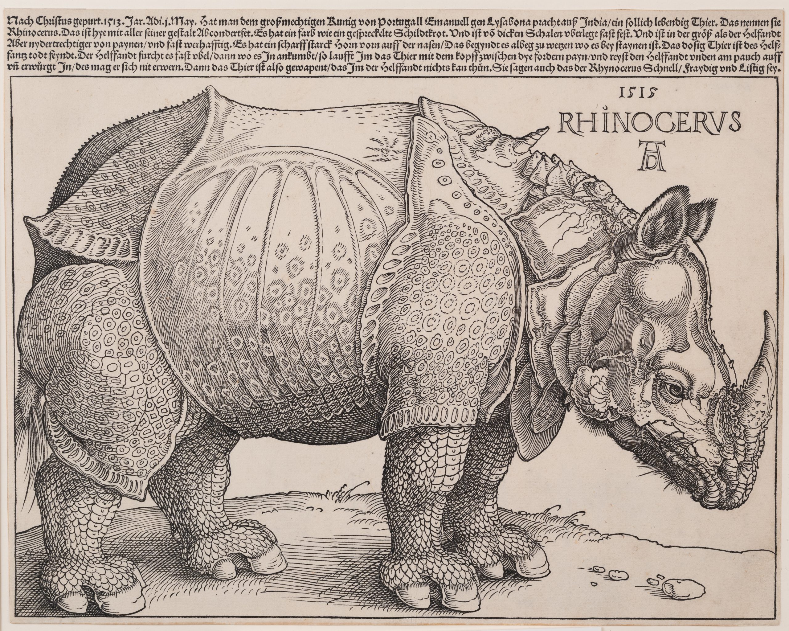 Albrecht Dürer s.r.o.